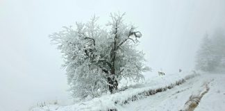 Представяне на книгата *Лодки през зимата*