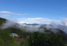 Накратко за хайку